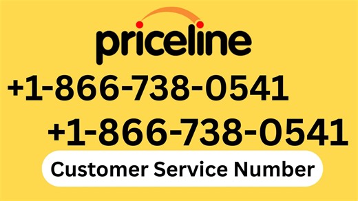 Step-by-Step Priceline Official Customer Service Guide