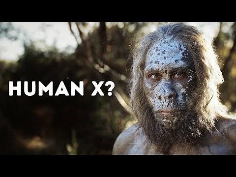 Evolution of Humans | History Documentary