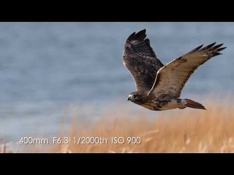 Kristofer Rowe on Assignment with the Tamron SP 150-600 G2 Lens