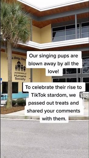 #jaxhumane #animalshelter #dogsoftiktok #foryoupage #fyp #YouShouldKnow