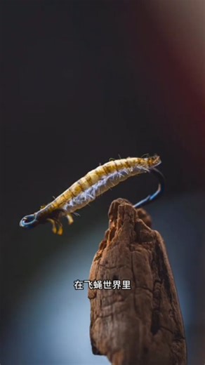 Fishing Community on Instagram: "Crafting the perfect feather lure—clean, sharp & fish-ready 🎣🔥 One small detail can turn an ordinary hook into a killer strike setup. #FishingKnot #FeatherLure #HookCrafting #FishingSetup #ProAngler #USAOutdoors #USAFishing #FloridaFishing #FishingLife #FishingReels #FishingSkills #FishingHacks #FishingTips #FishingGear #BaitFishing #LureMaking #LureCraft #TackleSetup #HookTying #FishHook #FishingViral #FYPFishing #TrendingFishing #AnglerLife #FishingAddict #Sa