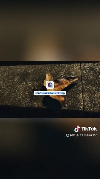 Beauty HD camera app for you