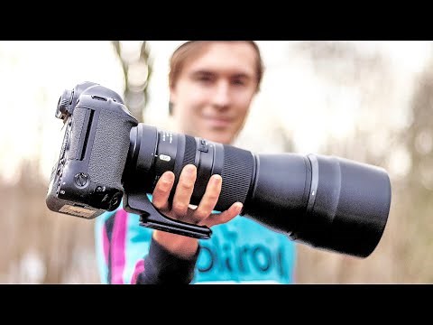 The Tamron 150-600mm G2 is STUNNING — The BEST Wildlife Lens Under $1500!!!