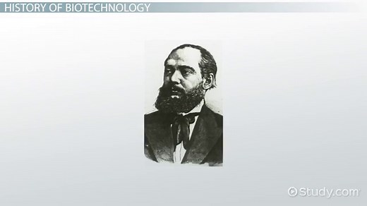 Biotechnology Definition, Types & Examples