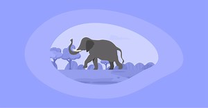 10 Best Charities for Protecting Elephants (Complete 2026 List) | Impactful Ninja