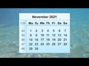 November 2021 Calendar