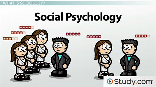 Sociology | Definition, Themes & Examples