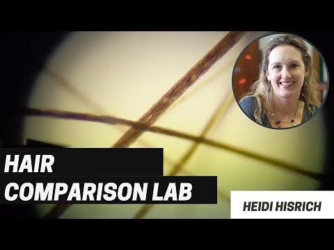 Forensic Hair Comparison Lab