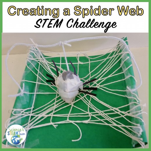 Create a Spider Web: A Fun STEM Challenge! - Science and STEAM Team