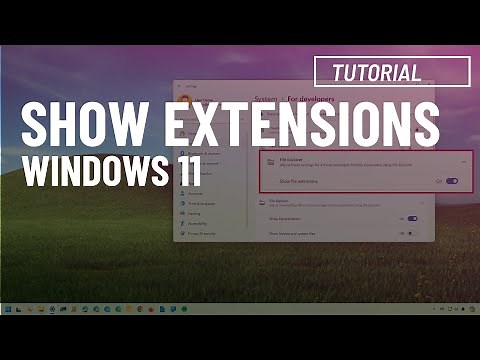👉 Show extensions on File Explorer for Windows 11 (3 methods)