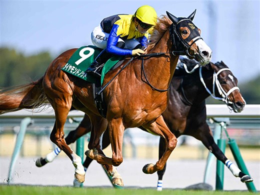 �ڥե��륳��S��̡ۥ�������ɥΥåȤ������͵��˱����ƽž�2���ܡ� | ���ϥ˥塼�� - netkeiba