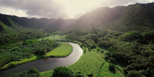 2022 Convention of Jehovah’s Witnesses: “Pursue Peace”!