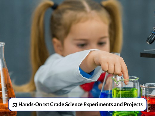 1st Grade Science Projects, Experiments, Crafts And Activities ( Resources) - Teaching Expertise