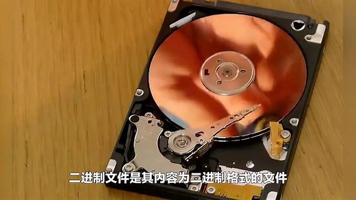 什么是二进制文件？如何使用二进制文件？