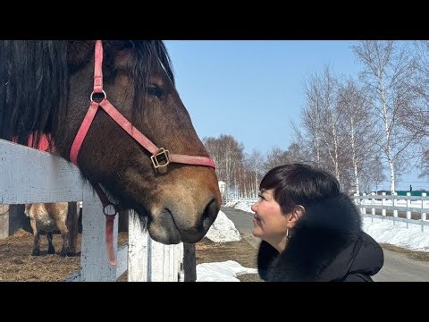 Horoscope for March 23, 2026: [Breaking the Limits] Learning about the "power to transcend limita...