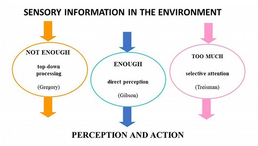 Visual Perception Theory In Psychology