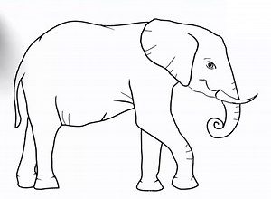 How to Draw an Elephant Step-by-Step (9 Ways)