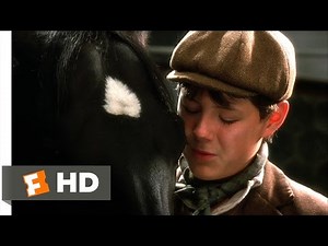 Black Beauty (1994) - A New Home Scene (6/10) | Movieclips