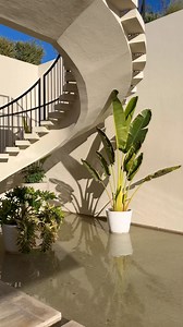 The only luggage you’ll ever need. See why Away’s luggage is loved by millions. | Away