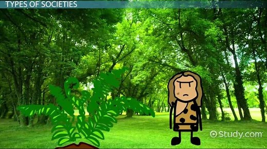 Society | Definition, Types & Examples